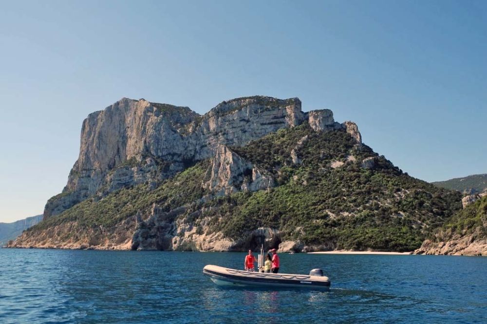 RIB rental Blumarine